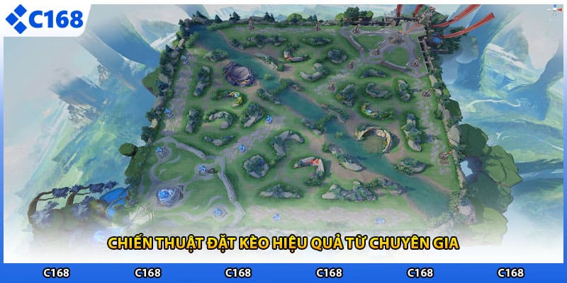 Chiến thuật đặt kèo hiệu quả từ chuyên gia